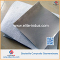 HDPE LDPE LLDPE PVC EVA Geomembranes zusammengesetzte Haustier-pp. Nichtgewebte Geotextilien